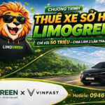 Chính sách thuê mua xe Vinfast Limo Green Tháng 4/2026